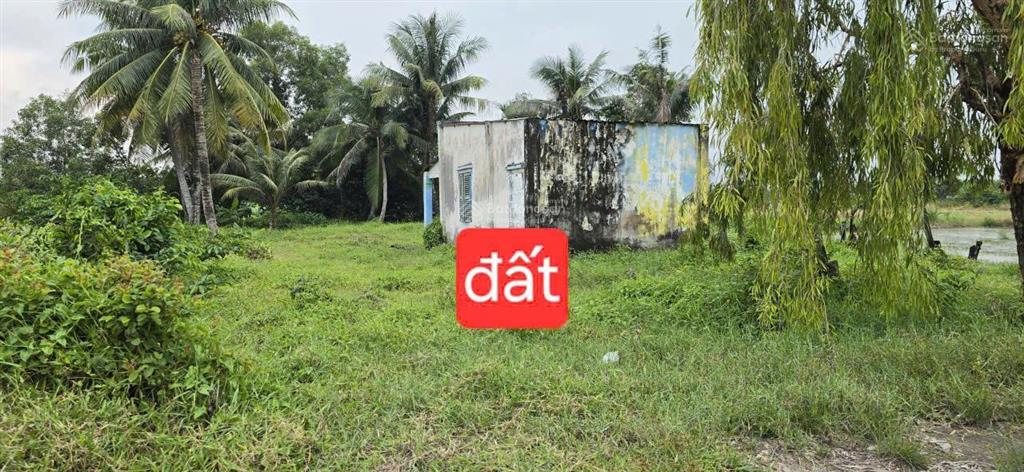 Ngộp hạ giá bán gấp đất thổ nhà vườn phú hữu nhơn trạch giá rẻ 4,2tỷ/795m2, oto. shr chính chủ. gọi