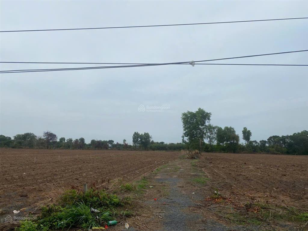 Hạ giá bán đất thổ nhà vườn nhơn trạch, giá rẻ 5,3ty/839m,xây trọ, kho, đường bêtong. shr chính chủ