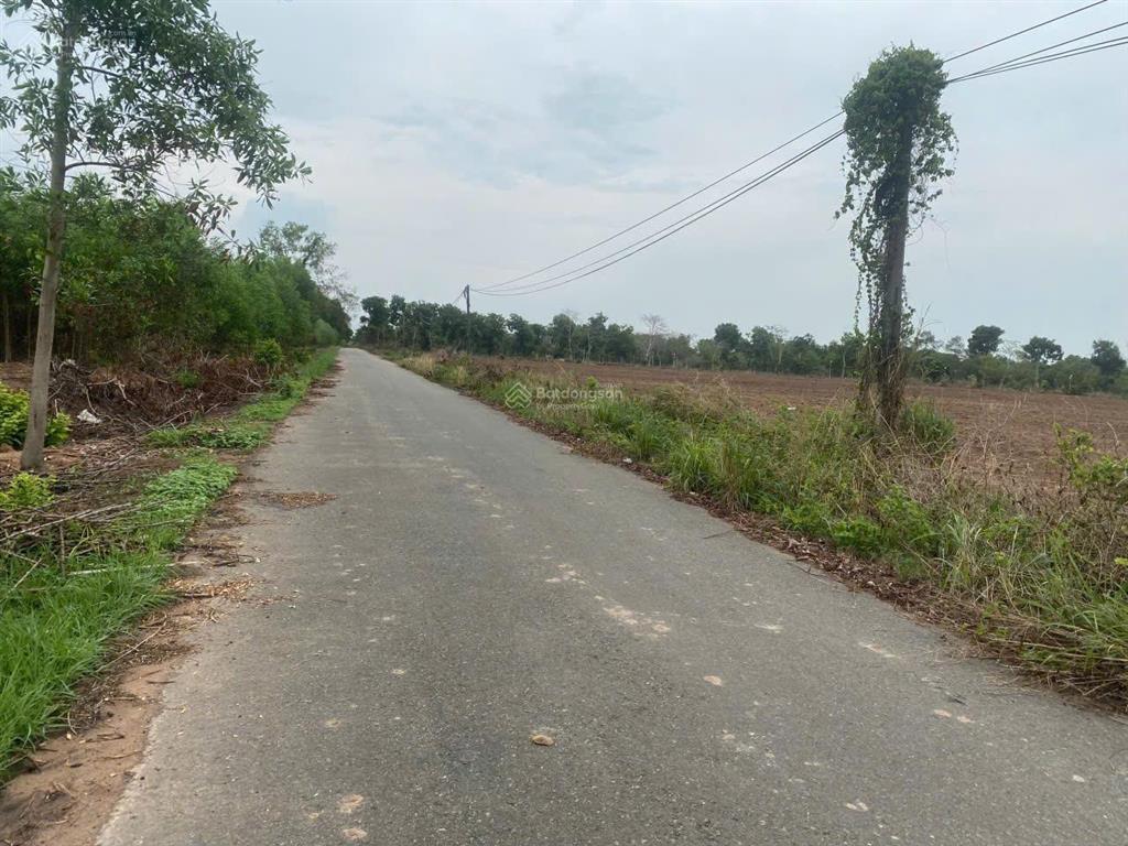 Hạ giá bán đất thổ nhà vườn nhơn trạch, giá rẻ 5,3ty/839m,xây trọ, kho, đường bêtong. shr chính chủ