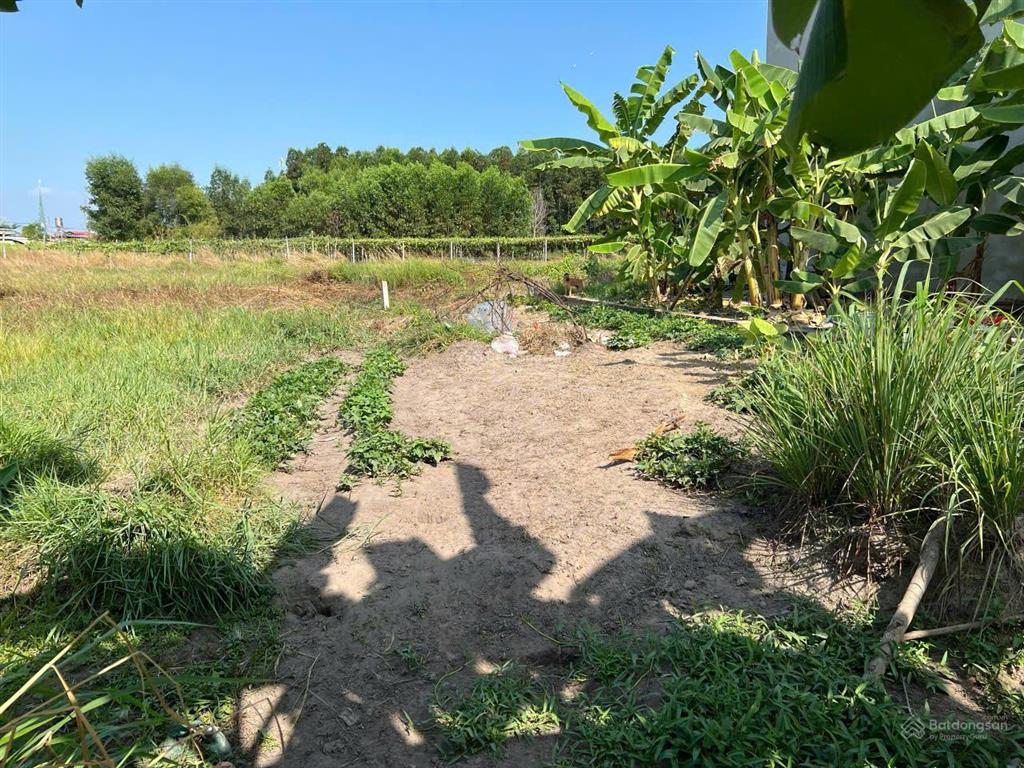 Hạ giá bán rẻ nhà vườn nhơn trạch giá rẻ 5 tỷ/839m2, mặt tiền đường betong, shr chính chủ. gọi ngay