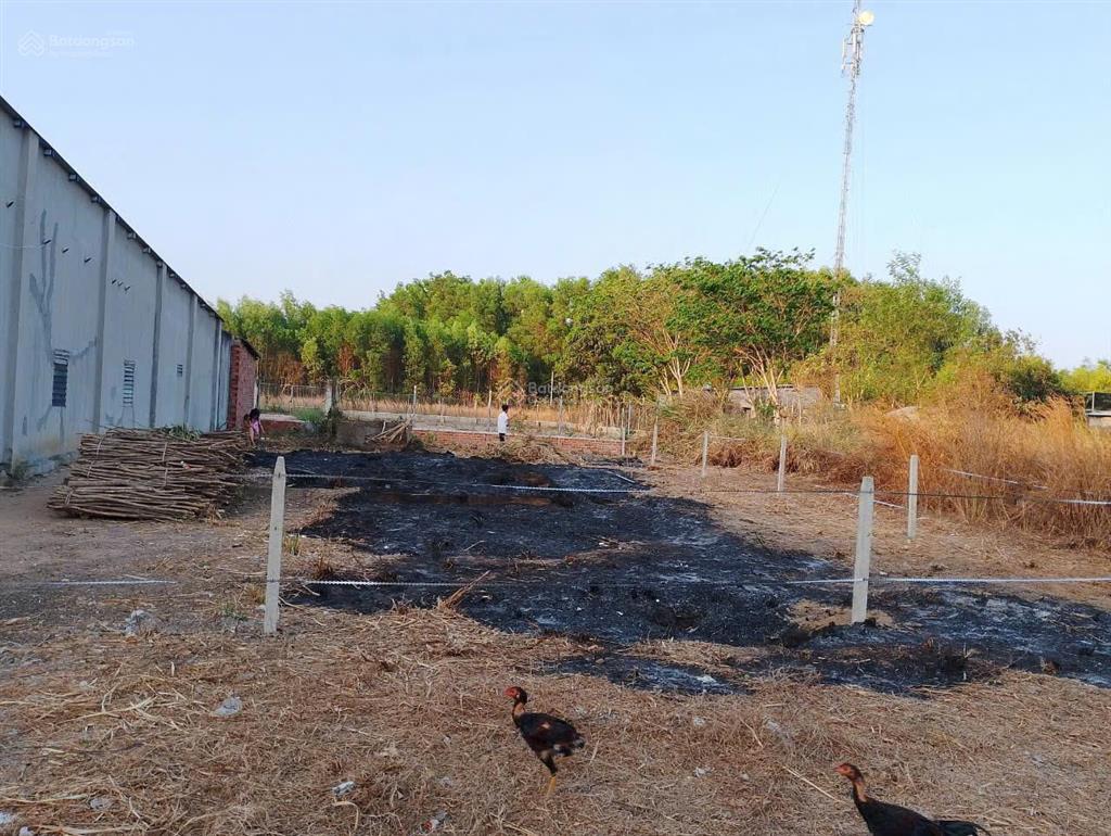 Hạ giá bán đất thổ nhà vườn nhơn trạch, giá tốt 2,7 tỷ/405m2 oto 5m shr chính chủ. gọi ngay 24/24h