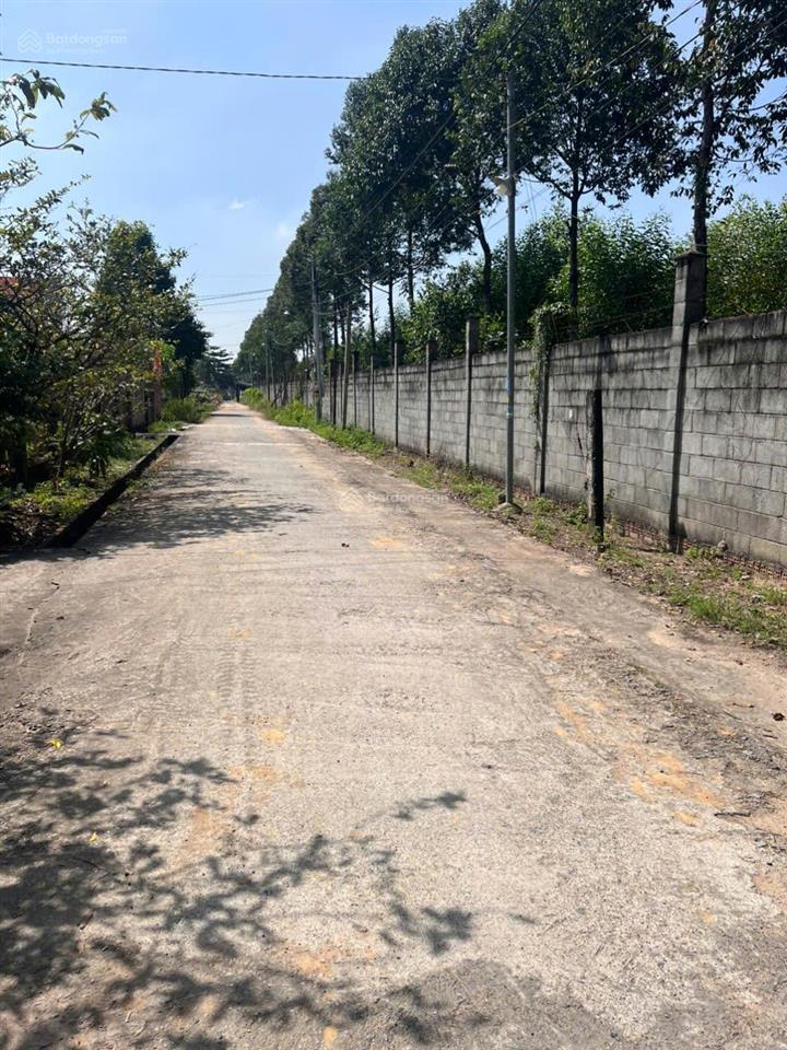 Hạ giá bán đất thổ nhà vườn nhơn trạch, giá tốt 2,7 tỷ/405m2 oto 5m shr chính chủ. gọi ngay 24/24h