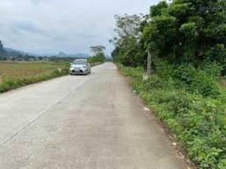 Cho thuê kho, nhà xưởng tại linh tây, đào trinh nhất, linh tây, thủ đức, 9 triệu, 1000 m2
