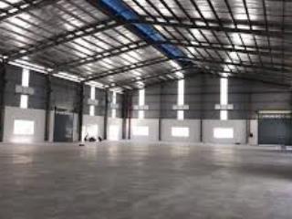 Cho thuê kho 5000m2 đường nguyễn thị tư phường phú hữu (pccc tự động)