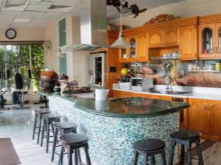 Cần bán penhouse căn hộ thảo điền pearl, 5pn, 450m2  lan 0938 587 ***