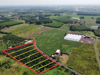 Lô đất đẹp ngay đường đt 52, thị trấn đất đỏ, bà rịa vũng tàu giá chỉ 1,8 tỷ