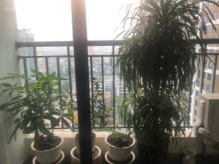 Cho thuê căn hộ ecolife tây hồ, 88m2, 2pn, đủ đồ, 14.5 tr/th.  0984 536 ***
