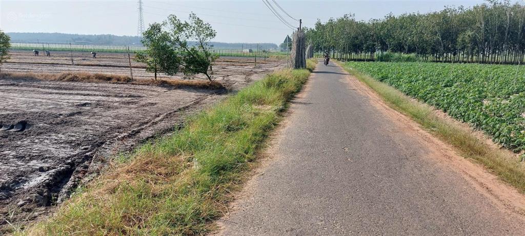 Bán gấp đất tại đường 13, xã chà là, dương minh châu, tây ninh, 490 triệu, 240m2