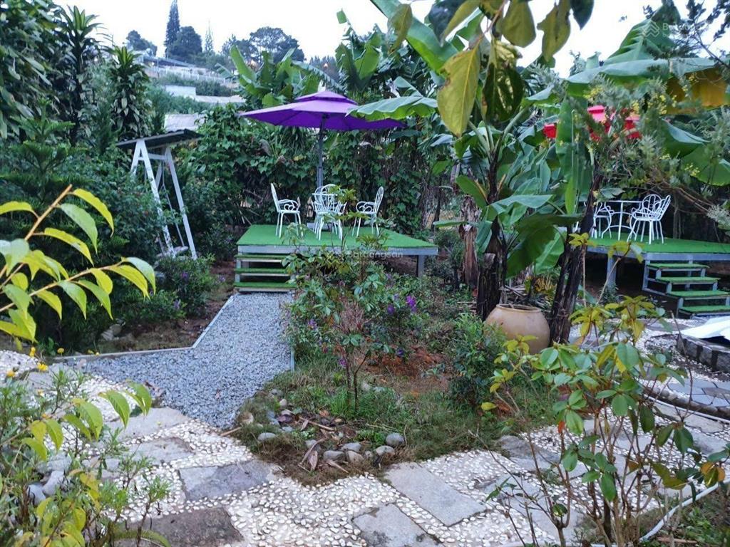 Ngợp bank gia đình cúng tôi bán rẻ từ 26 tỷ nay lỗ mạnh giảm chỉ còn 12 tỷ