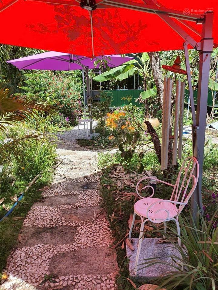 Ngợp bank gia đình cúng tôi bán rẻ từ 26 tỷ nay lỗ mạnh giảm chỉ còn 12 tỷ