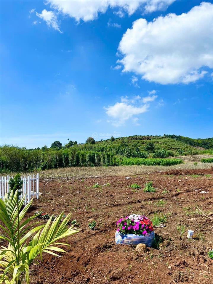 Bán gấp lô đất 1000m2 có sẵn thổ cư  giá 780tr sẵn sổ công chứng luôn 0934 043 ***