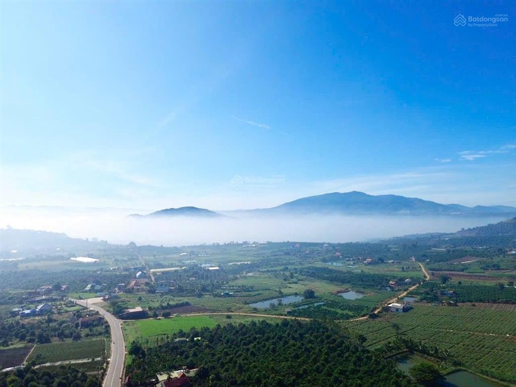 Bán gấp lô đất 1000m2 có sẵn thổ cư  giá 780tr sẵn sổ công chứng luôn 0934 043 ***