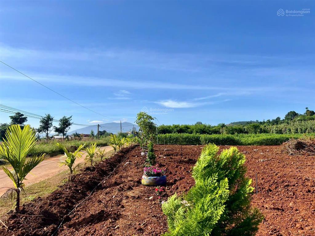 Bán gấp lô đất 1000m2 có sẵn thổ cư  giá 780tr sẵn sổ công chứng luôn 0934 043 ***