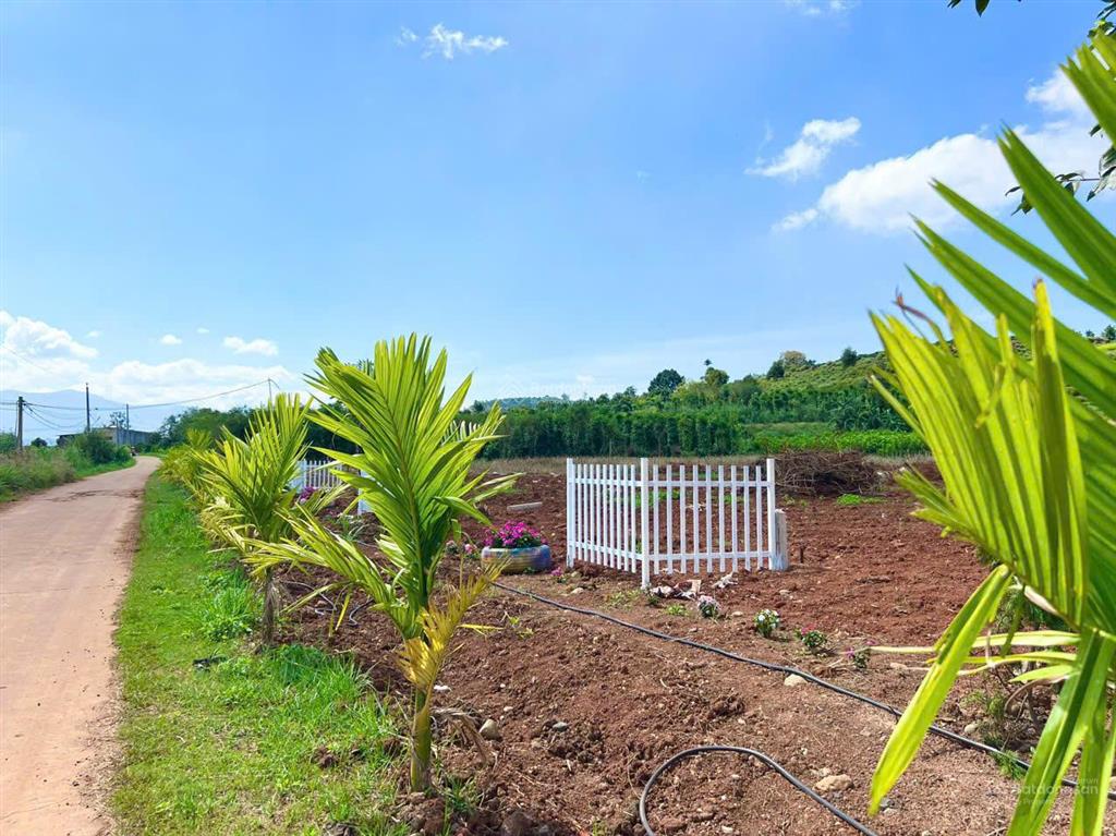 Bán gấp lô đất 1000m2 có sẵn thổ cư  giá 780tr sẵn sổ công chứng luôn 0934 043 ***