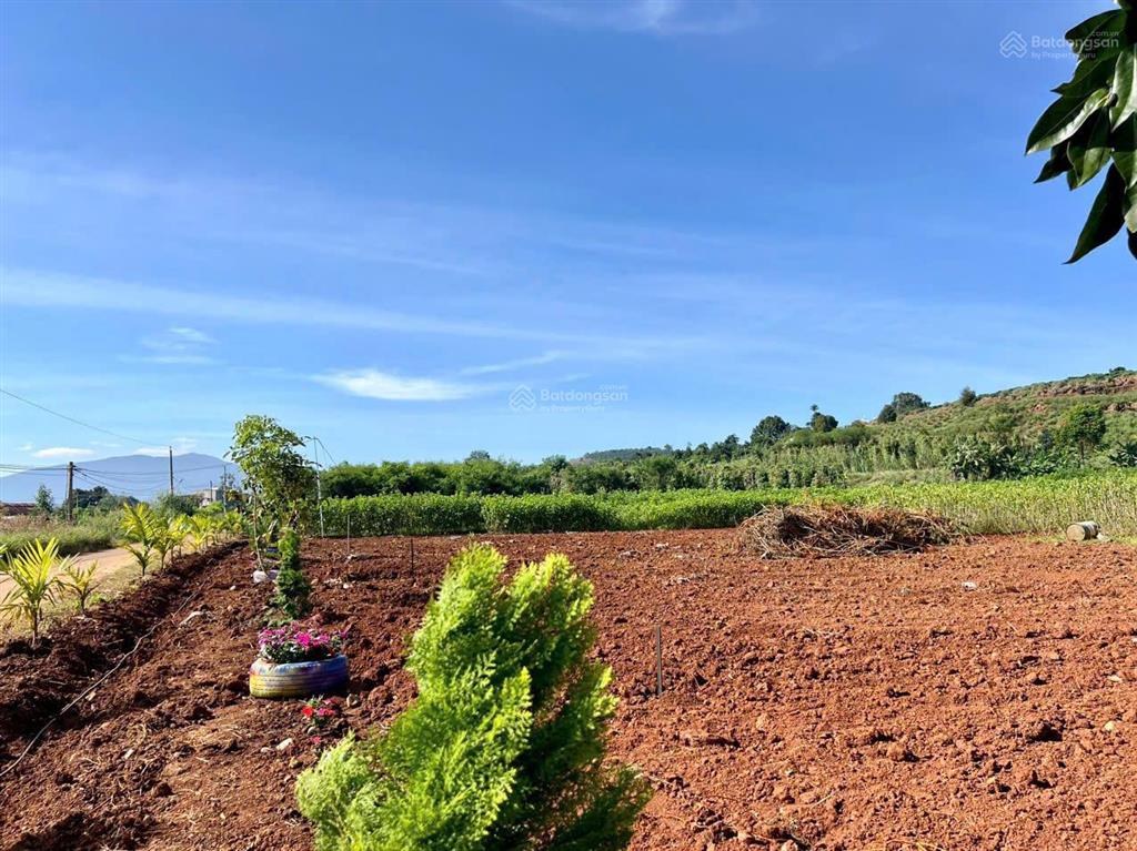 Bán gấp lô đất 1000m2 có sẵn thổ cư  giá 780tr sẵn sổ công chứng luôn 0934 043 ***