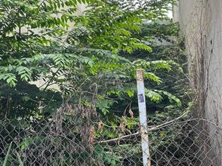 Bán lô đất 65m2 hẻm 8m đường phạm đăng giảng phường bình hưng hòa quận bình tân.