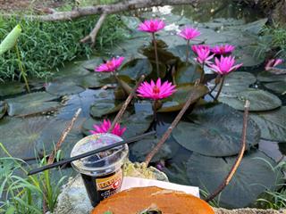 Bán vườn 2 mặt tiền phước thạnh củ chi