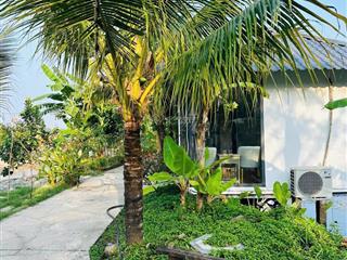 Anh chủ bán nhanh homestay đang hoạt động, xây dựng tâm huyết, chỉn chu
