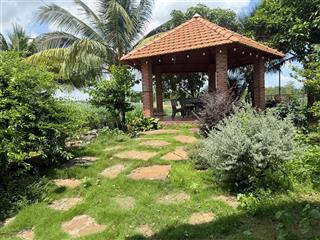 Bán nhà vườn đẹp tại đá bạc, châu đức  800m²  2 mặt tiền đường nhựa  giá