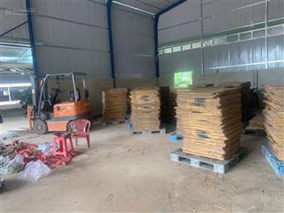Bán xưởng + đất 1,7ha xã an thạnh huyện bến cầu, cách quốc lộ 22 500m đường xe tải