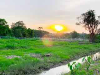 Đất mặt tiền đường nhựa nguyễn thị dòn, huyện củ chi 3527m2 (thổ cư sẵn 150m2) đầy đủ pháp lý