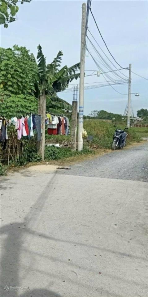 Đất bán thổ cư đường nguyễn thị sưa, vĩnh lộc a, bình chánh 8 x 26m/ gần nữ dân công