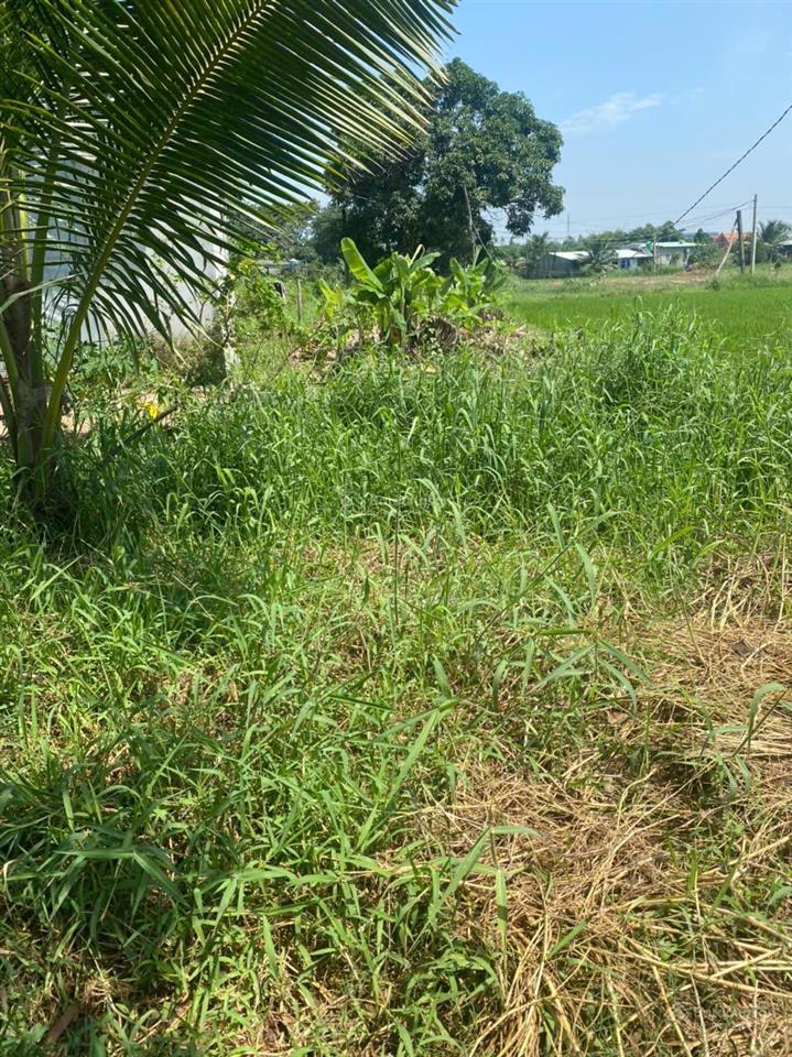 Đất thổ cư 140m2, 650 triệu  sát kcn tân đức đức hòa.  0931 313 ***