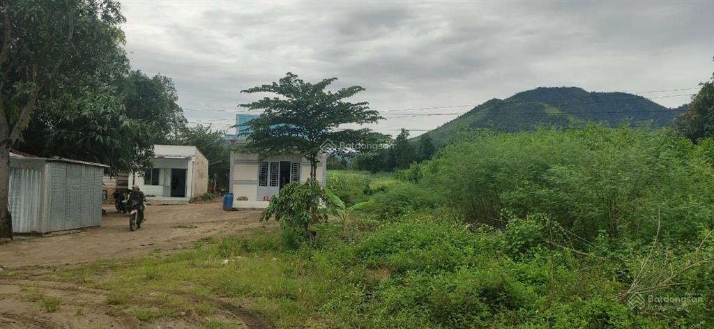 Bán 866m2 mặt đường quốc lộ 26 ninh tây