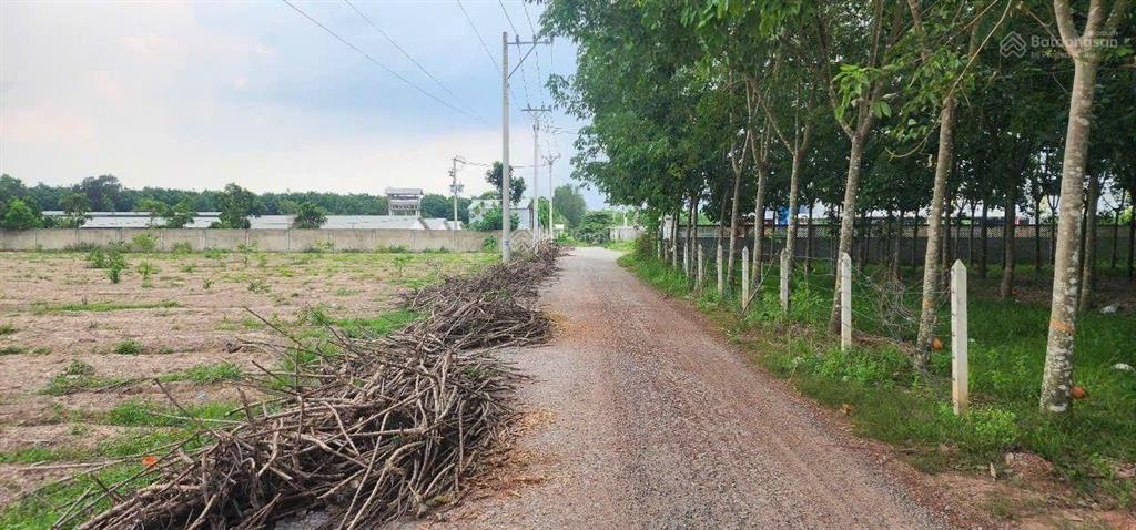 Phường long nguyên, tp. hồ chí minh vị trí gần dh615 phù hợp lên skc. dt 10.140 m2 ( 63x161)