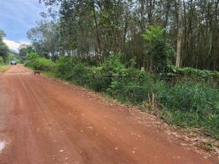 Đất sát mỹ phước tân vạn. dt 21433m2