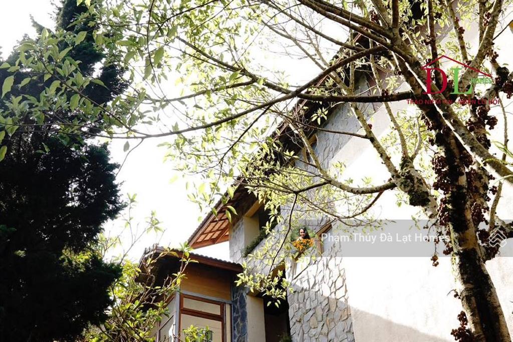 Bán resort sinh thái đà lạt, mặt tiền đường khe sanh, khuôn viên 1,3 ha, giá 270 tỷ