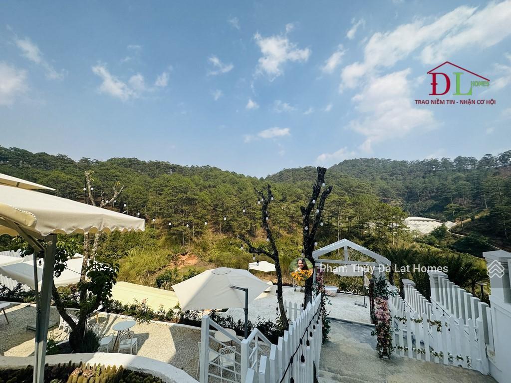 Bán khu đất đà lạt, đường hoàng hoa thám view thông, diện tích 5013m2 có thổ cư, giá 45 tỷ