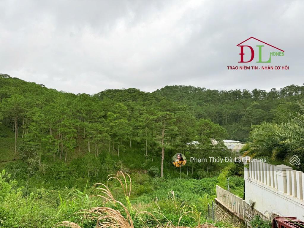 Bán khu đất đà lạt, đường hoàng hoa thám view thông, diện tích 5013m2 có thổ cư, giá 45 tỷ