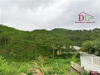 Bán khu đất đà lạt, đường hoàng hoa thám view thông, diện tích 5013m2 có thổ cư, giá 45 tỷ