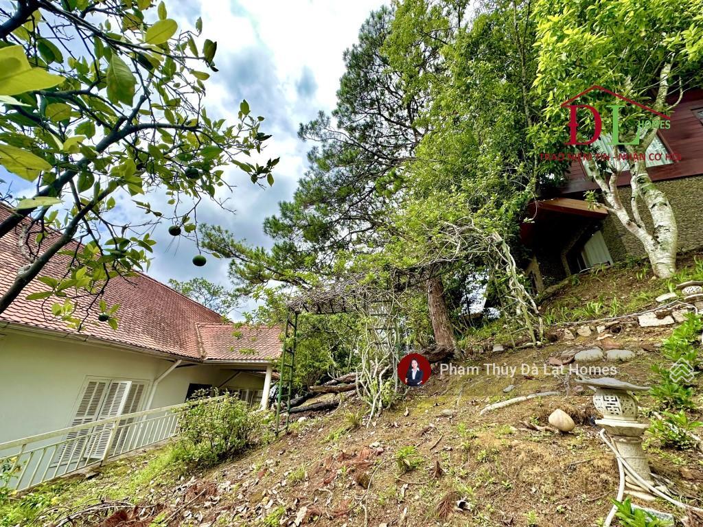 Bán khu biệt thự đồi thông đà lạt, khuôn viên 3000m2 đất ở tư nhân, ngay cửa ngõ trung tâm