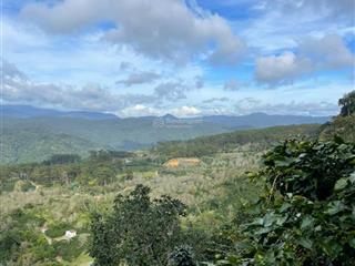 Bán lô đất vàng 3938m2 xuân trường, đà lạt  mặt tiền dài, ô tô tới đất, sổ đỏ sẵn sàng!