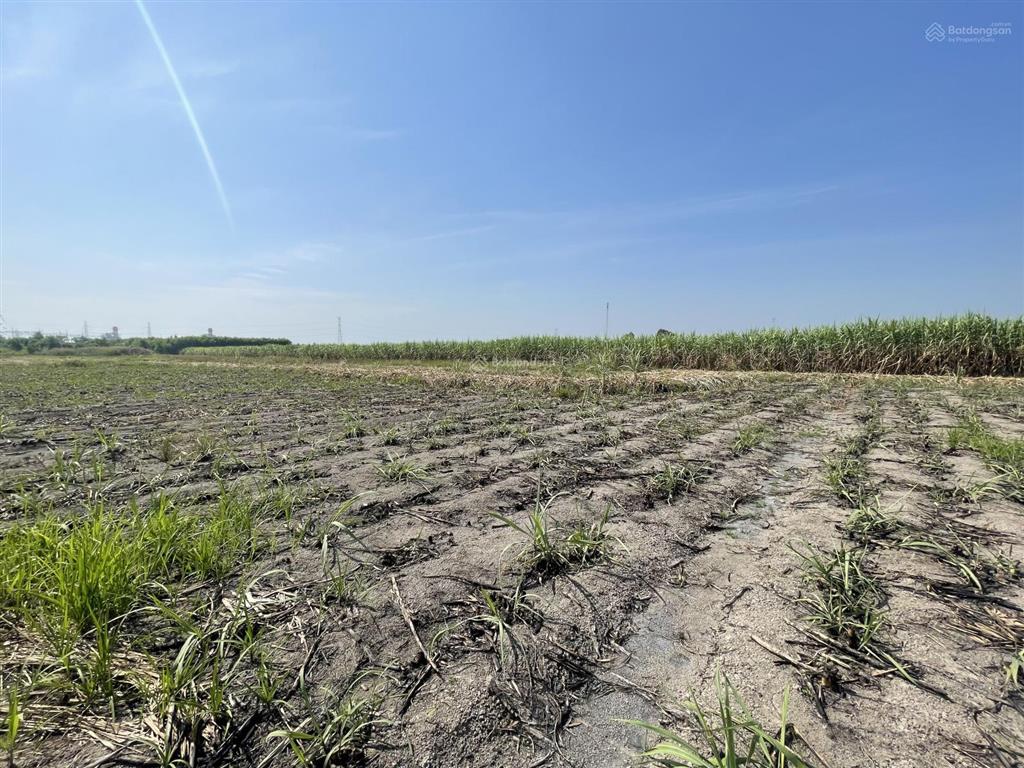 Bán gấp đất nông nghiệp 1000m2 tại xã phước khánh, nhơn trạch, đồng nai, 890 triệu