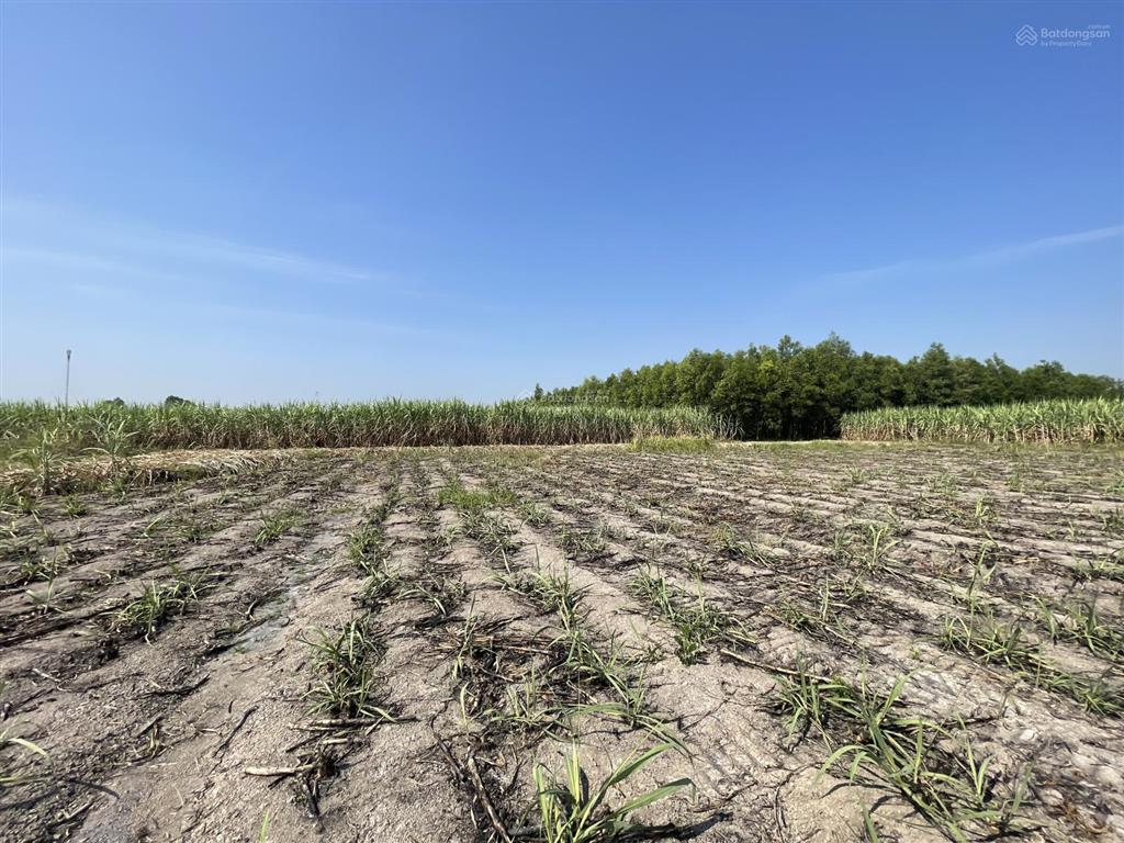 Bán gấp đất nông nghiệp 1000m2 tại xã phước khánh, nhơn trạch, đồng nai, 890 triệu