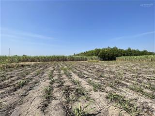 Bán gấp đất nông nghiệp 1000m2 tại xã phước khánh, nhơn trạch, đồng nai, 890 triệu