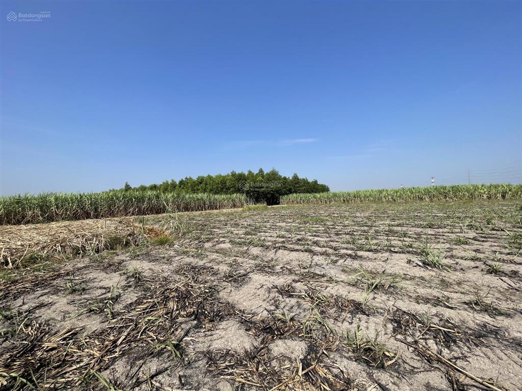 Bán gấp đất nông nghiệp 1000m2 tại xã phước khánh, nhơn trạch, đồng nai, 890 triệu