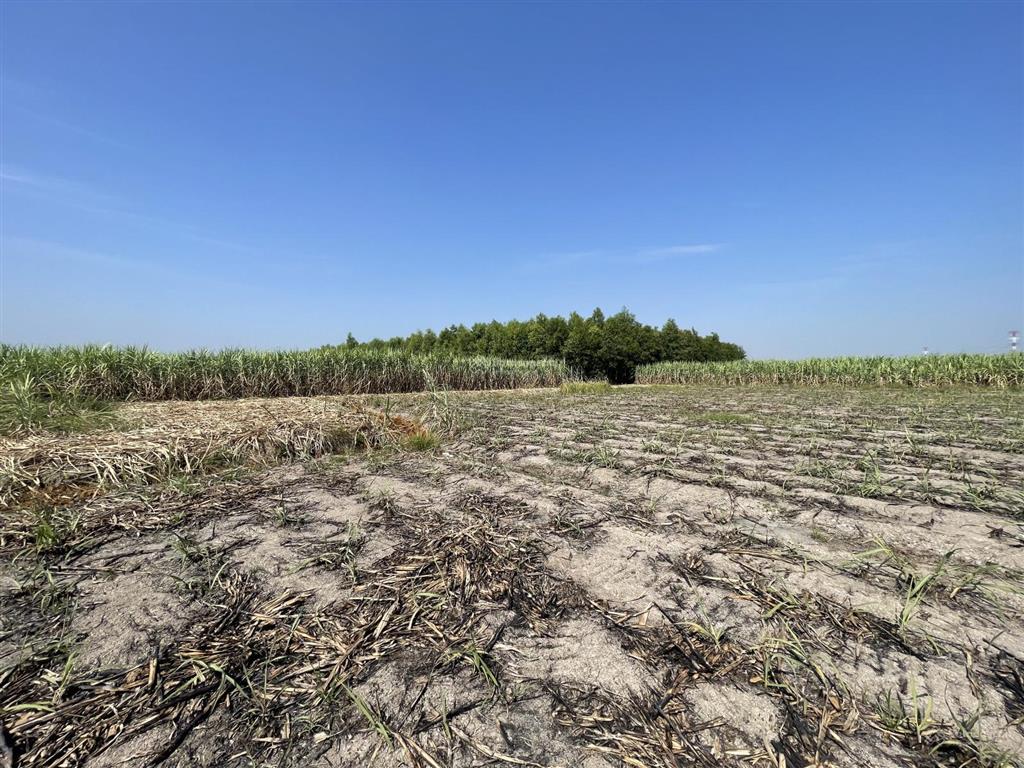 Bán gấp đất nông nghiệp 1000m2 tại xã phước khánh, nhơn trạch, đồng nai, 890 triệu