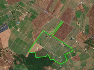 Bán 25ha đất nông nghiệp mặt tiền hòn dồ, phan thiết