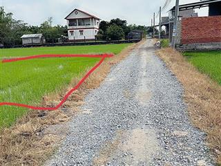 Bán đất lúa, xã hoà khánh đông, đức hòa, long an, 1,5 tỷ, 1500 m2