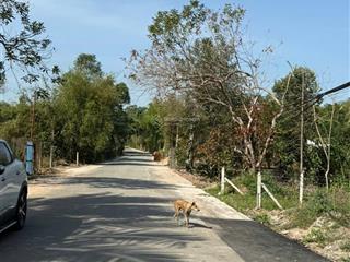 Bán đất an điền gần ngã 3 chú lường ct đông, 5x28 tc 142.7m2 giá 1tỷ250triệu. đt 0387 426 *** nga