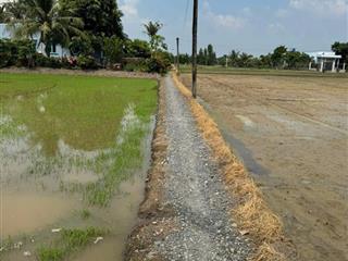 Chính chủ bán nền đất lúa 1000m2, tân lân, cầm đước