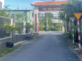 Chính chủ bán nền đất lúa 1000m2 tại tân lân, cần đước, long an