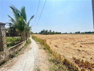 Chính chủ bán 500m2 đất lúa, cần đước, long an