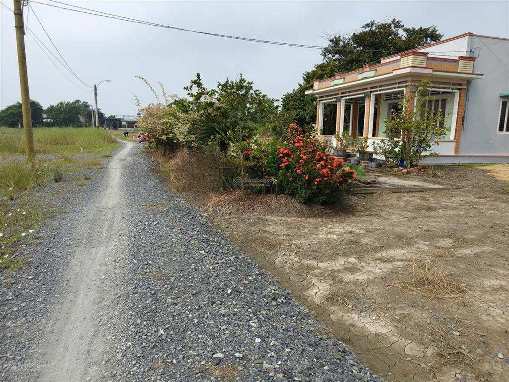 Cần bán gấp 1000m2 đất lúa phước đông