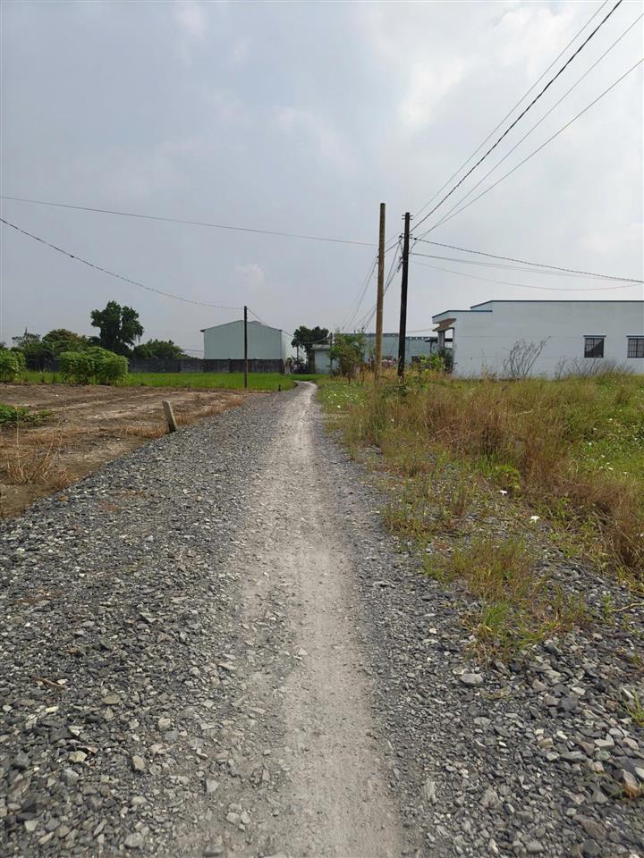 Cần bán gấp 1000m2 đất lúa phước đông