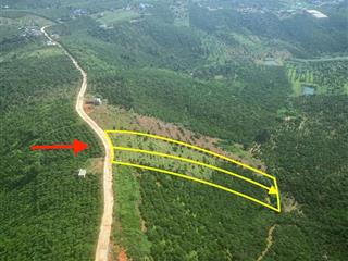 Đất 5000m2 đã tách 2 sổ. dân cư điện nước đầy đủ xe hơi vào tận nơi